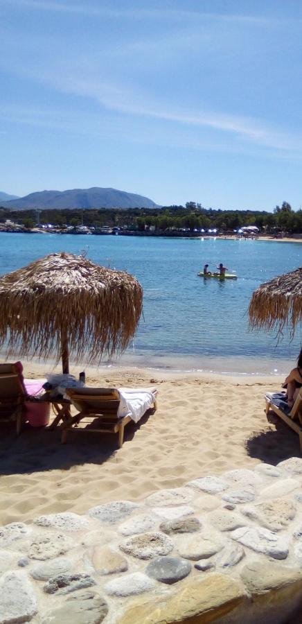 Blue Paradise Home Maráthi Kültér fotó